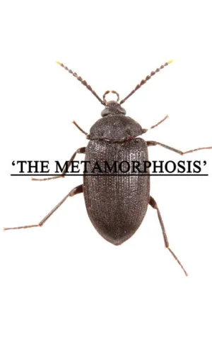 'The Metamorphosis'